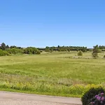Large Near Tønder