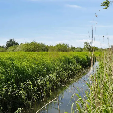 Large Near * トゥナー